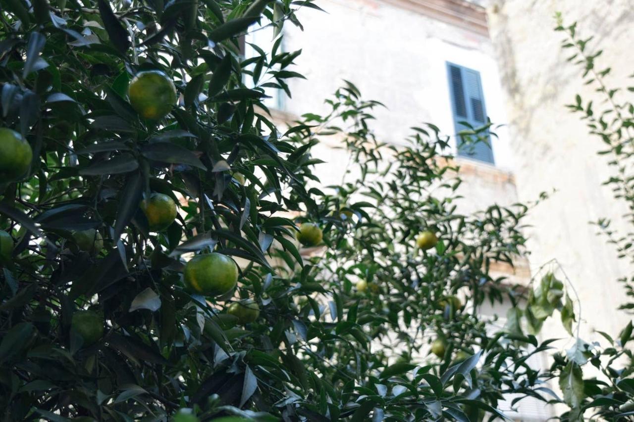 Giardino D'Atri Apartment Napoli Exterior foto